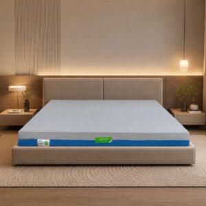 Nệm Cao Su Nhân Tạo Mát Lạnh Tatana