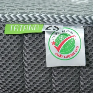 Nệm Cao Su Tổng Hợp Vải Gấm Lạnh Gấp Tatana - Ảnh 11