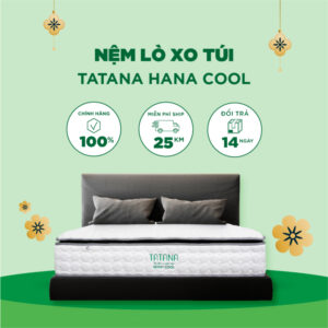 Nệm lò xo túi Tatana Hana Cool