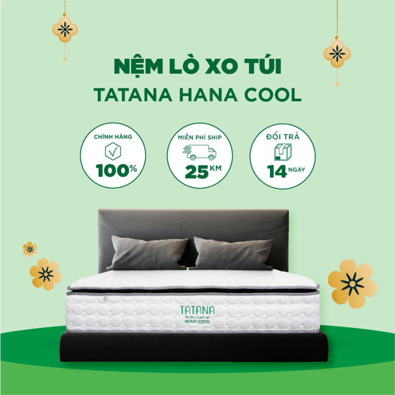 Nệm lò xo túi Tatana Hana Cool