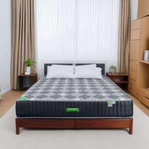 Nệm lò xo liên kết Tatana Liza