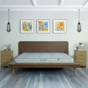 Nệm ép dẻo Tatana